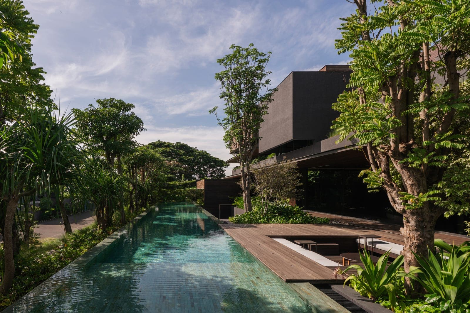 The lap pool, most of the length of the site.