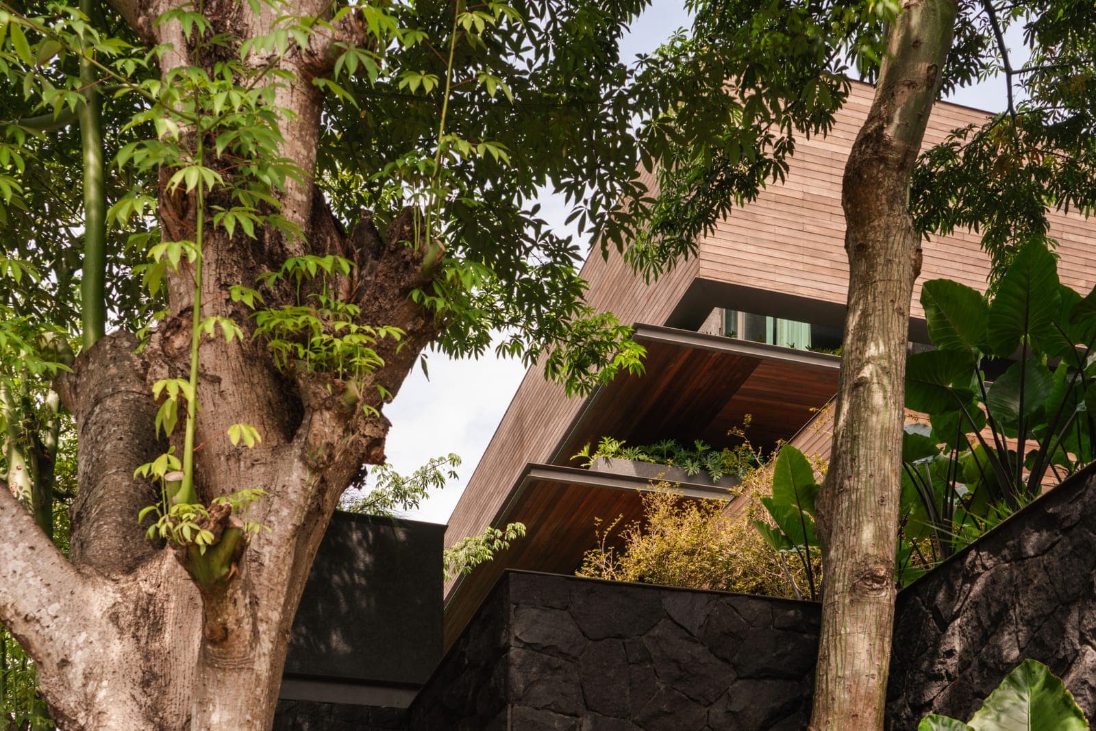 Planted terraces along the retaining walls.