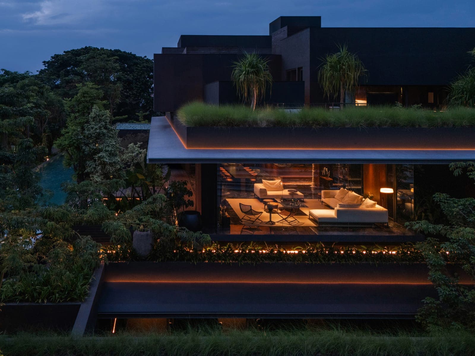Dusk: the living floor glazed corner to corner, grasses carried over the roof edge.