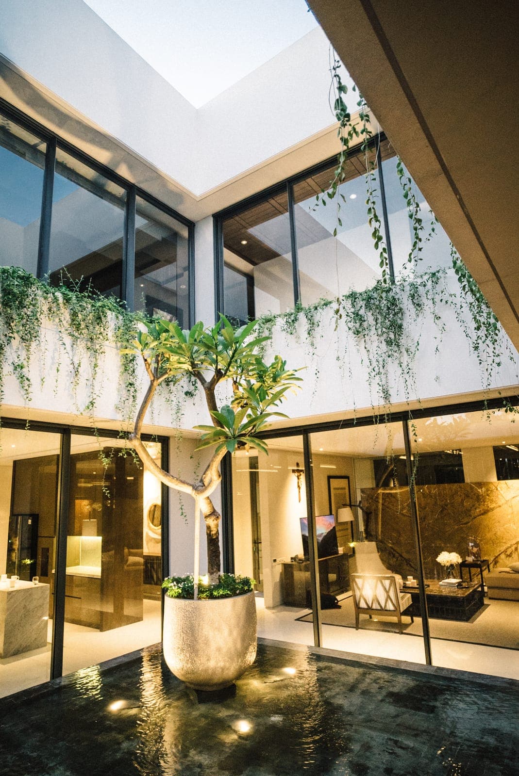 The courtyard at dusk — glazed on all four sides, with the tree standing in water.