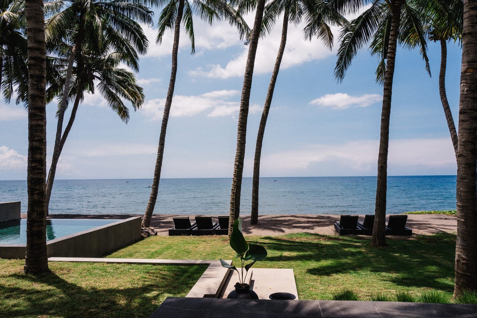 Lawn, palms, and the sea beyond.