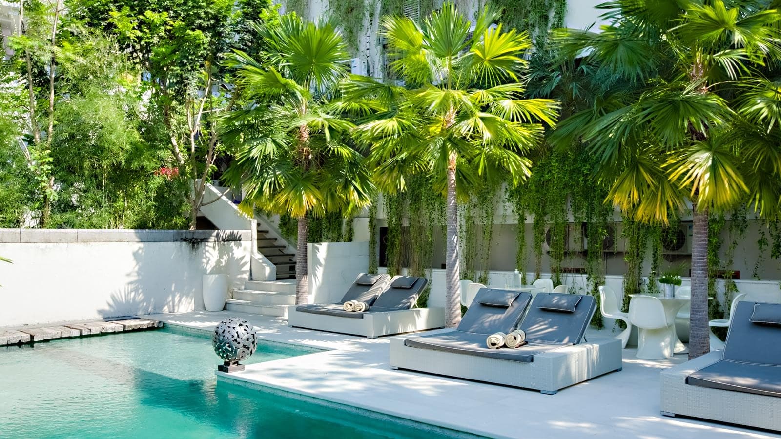 The pool courtyard, fan palms grown up through the paving.